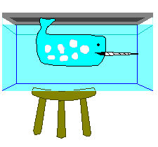 Norman the Narwhal's Tank